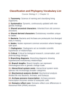 Classification & Phylogeny Vocabulary Words & Definitions sample page
