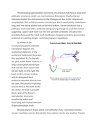 Coevolution Dynamics in Plant-Pollinator Relationships Reading Worksheet sample page