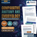 Comparative Anatomy and Embryology: Tetrapod Pentadactyl Limbs, Vestigial Structures, and Atavisms CER Phenomena Worksheet cover