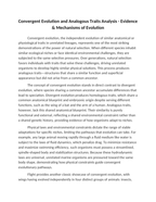 Convergent Evolution and Analogous Traits Analysis Reading Worksheet sample page