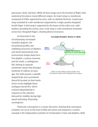 Convergent Evolution and Analogous Traits Analysis Reading Worksheet sample page