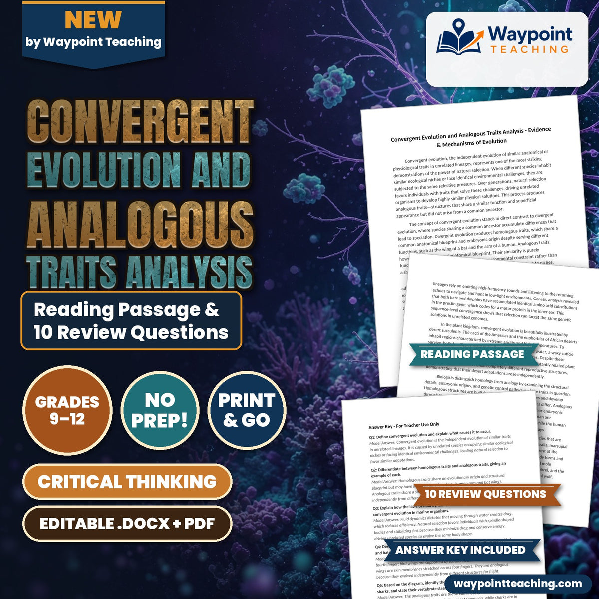 Convergent Evolution and Analogous Traits Analysis Reading Worksheet cover