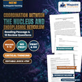 Coordination Between the Nucleus and Endoplasmic Reticulum Reading Worksheet cover