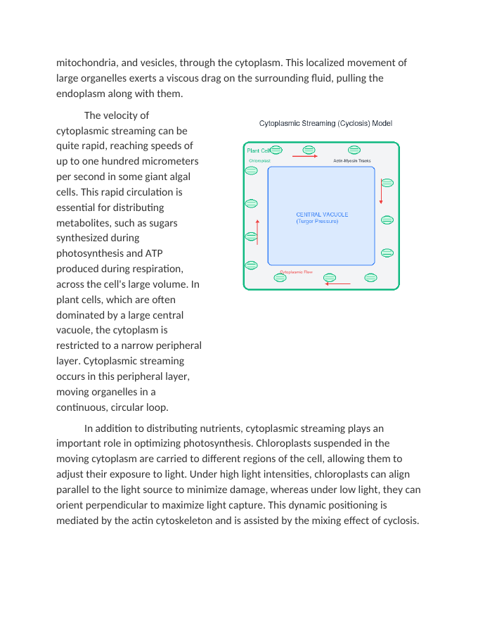 Cytoplasmic Streaming and Intracellular Organization Reading Worksheet sample page
