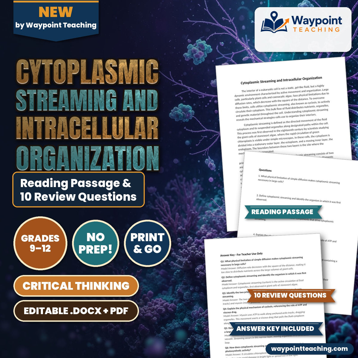 Cytoplasmic Streaming and Intracellular Organization Reading Worksheet cover