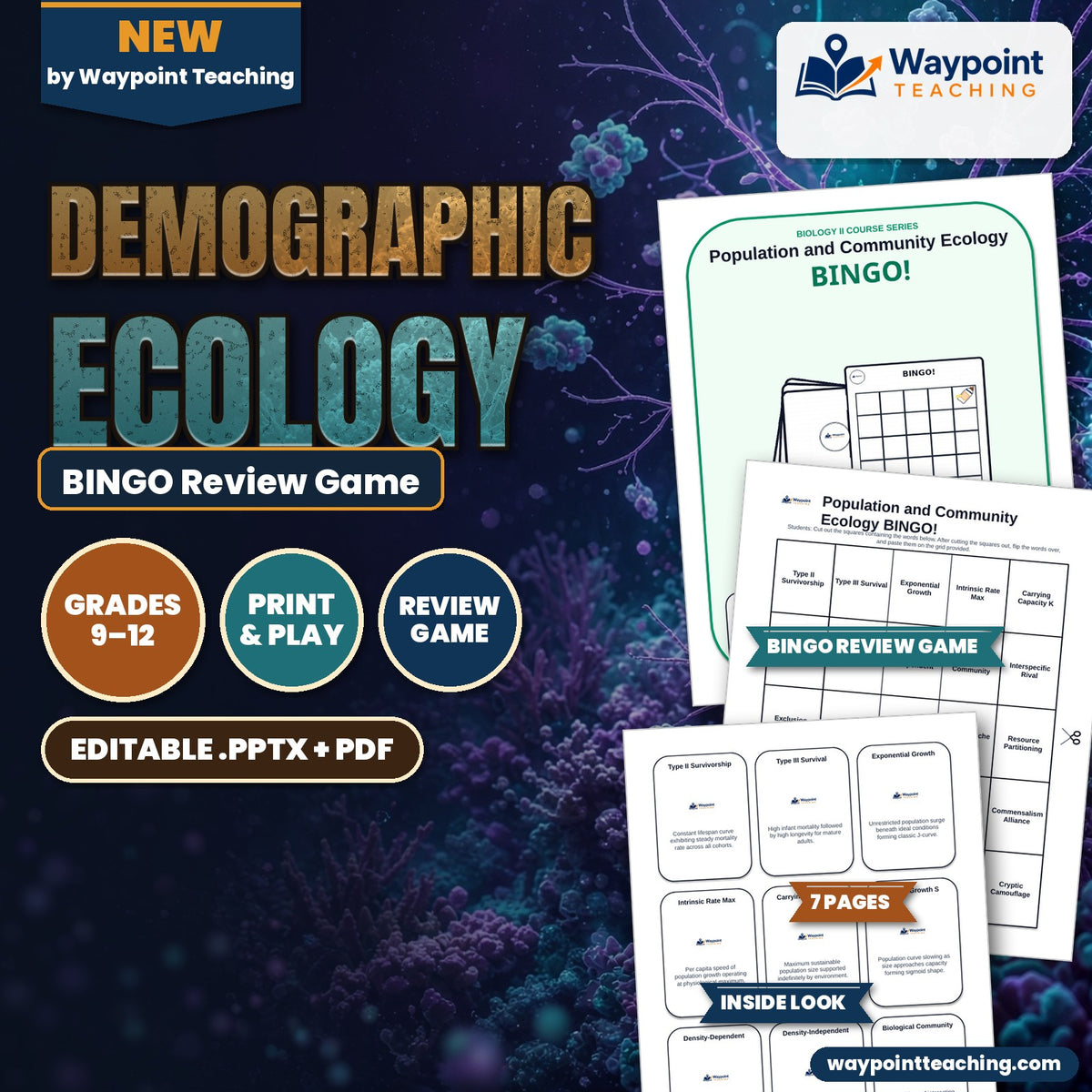 Demographic Ecology BINGO Review Game cover