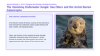 Demographic Ecology Phenomena-Based Lesson: The Vanishing Underwater Jungle: Sea Otters and the Urchin Barren Catastrophe Presentation sample page