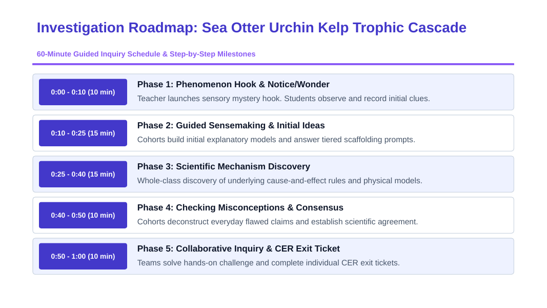 Demographic Ecology Scaffolded Phenomena-Based Lesson: The Vanishing Underwater Jungle: Sea Otters and the Urchin Barren Catastrophe Presentation sample page