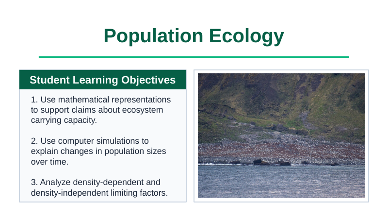Demographic Ecology Slide Show Presentation sample page