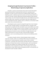 Designing Drought-Resistant Crop Genomic Profiles Reading Worksheet sample page