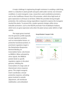 Designing Drought-Resistant Crop Genomic Profiles Reading Worksheet sample page
