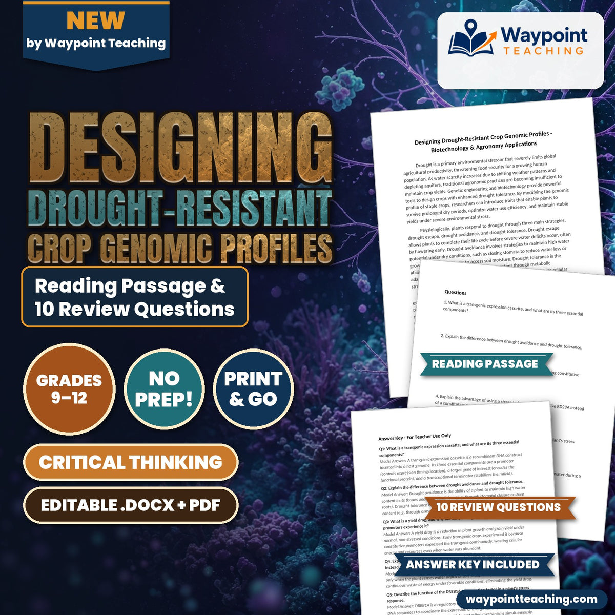 Designing Drought-Resistant Crop Genomic Profiles Reading Worksheet cover