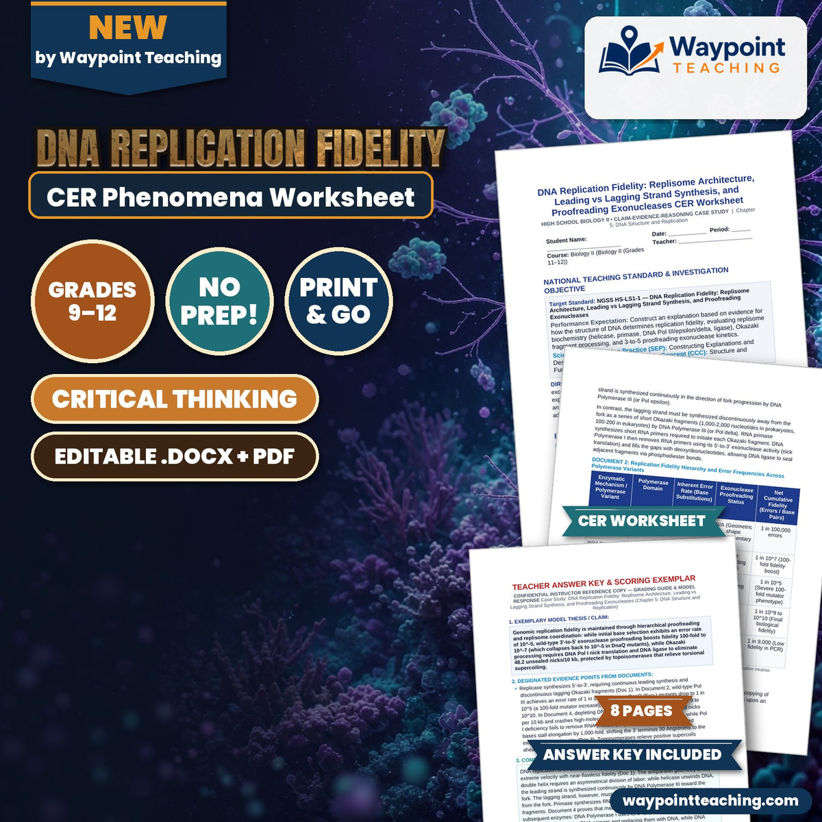 DNA Replication Fidelity: Replisome Architecture, Leading vs Lagging Strand Synthesis, and Proofreading Exonucleases CER Phenomena Worksheet cover