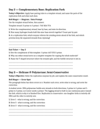 DNA Structure & Replication Bell Ringers & Exit Tickets sample page