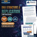 DNA Structure & Replication CER Task Cards cover
