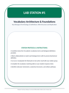DNA Structure & Replication Differentiation Stations sample page