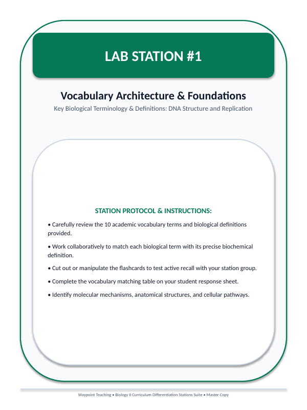 DNA Structure & Replication Differentiation Stations sample page