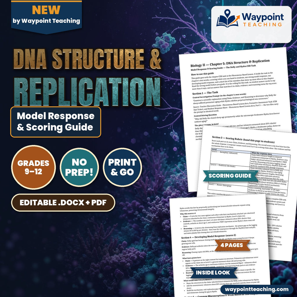 DNA Structure & Replication Model Response & Scoring Guide cover