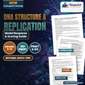 DNA Structure & Replication Model Response & Scoring Guide cover