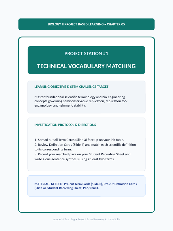 DNA Structure & Replication Project-Based Learning Activity sample page
