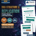 DNA Structure & Replication Project-Based Learning Activity cover