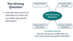 DNA Structure & Replication Substitute Slideshow & Teacher Guide sample page
