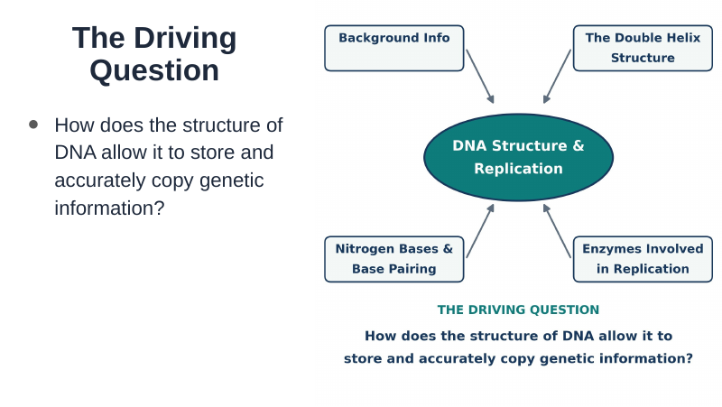 DNA Structure & Replication Substitute Slideshow & Teacher Guide sample page