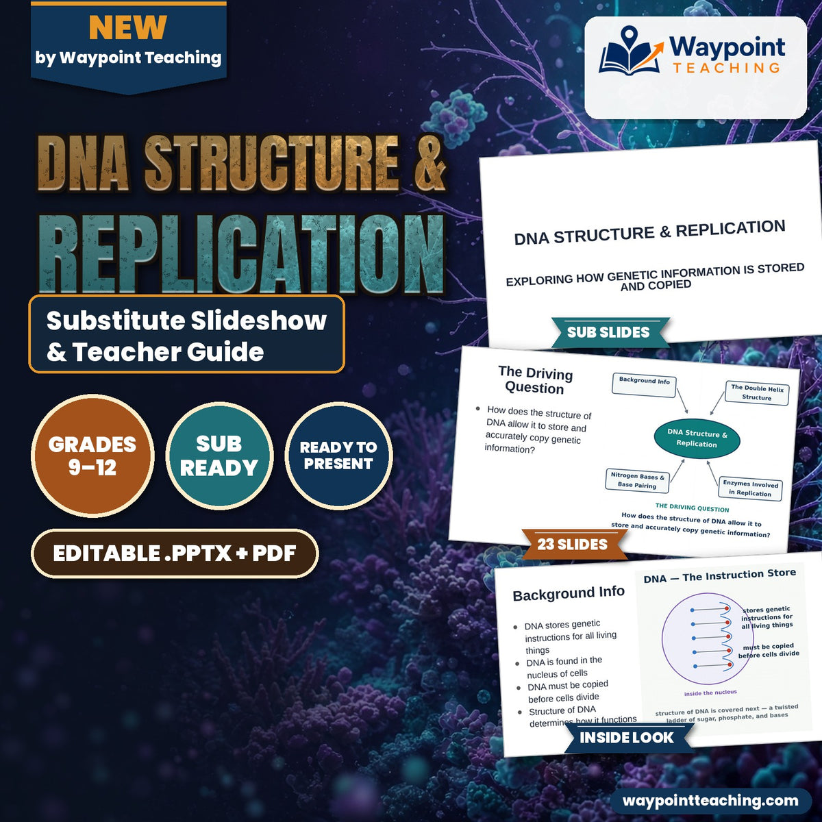 DNA Structure & Replication Substitute Slideshow & Teacher Guide cover