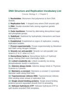 DNA Structure & Replication Vocabulary Words & Definitions sample page