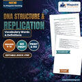 DNA Structure & Replication Vocabulary Words & Definitions cover