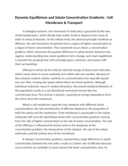 Dynamic Equilibrium and Solute Concentration Gradients Reading Worksheet sample page