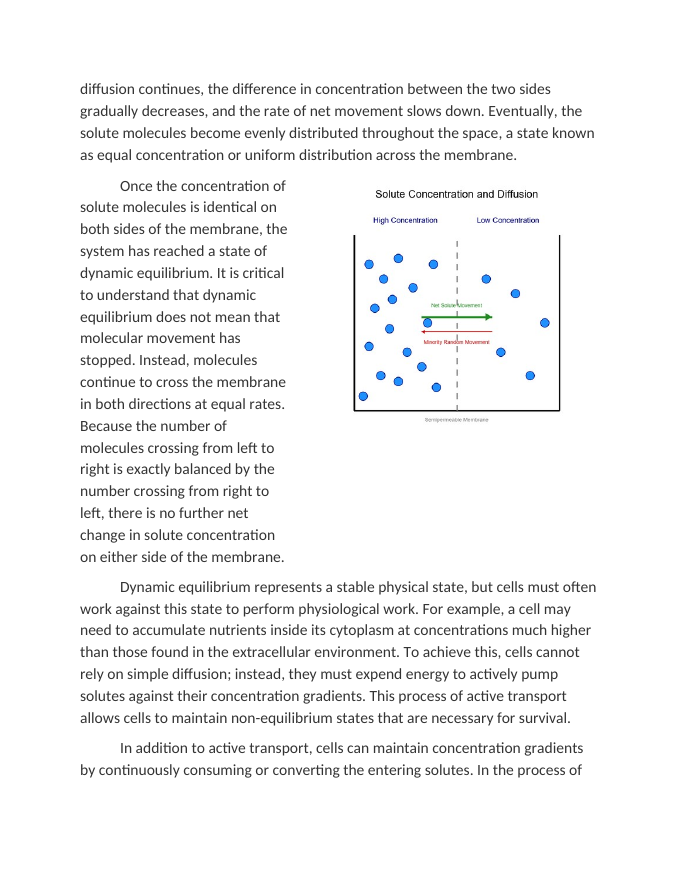 Dynamic Equilibrium and Solute Concentration Gradients Reading Worksheet sample page