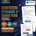 Ecosystem Dynamics & Energy Flow Bell Ringers & Exit Tickets cover