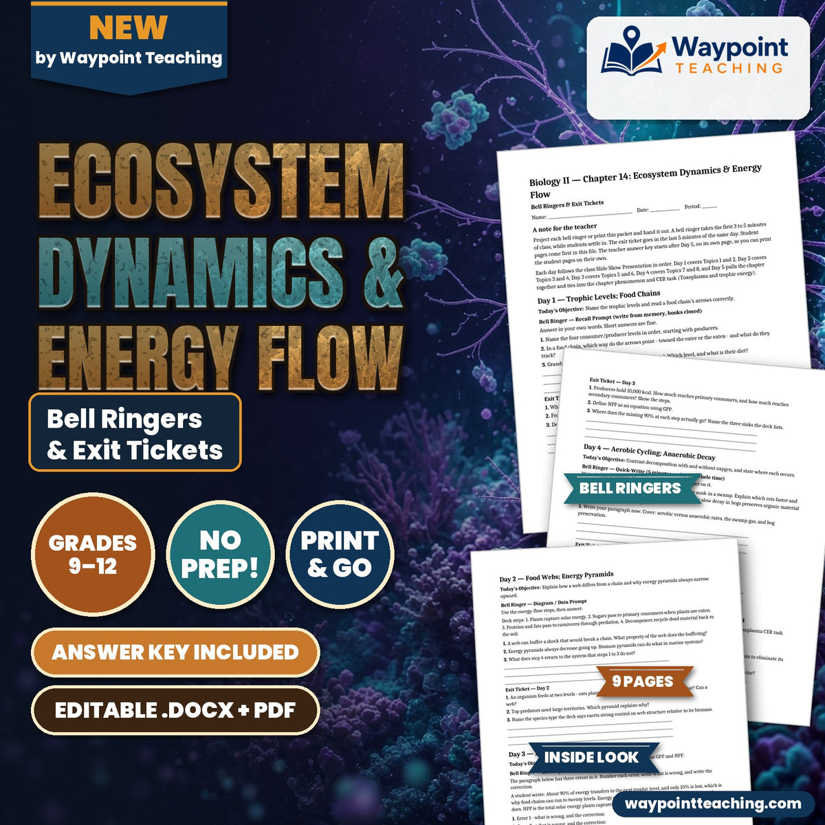 Ecosystem Dynamics & Energy Flow Bell Ringers & Exit Tickets cover
