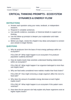 Ecosystem Dynamics & Energy Flow Critical Thinking Prompts sample page