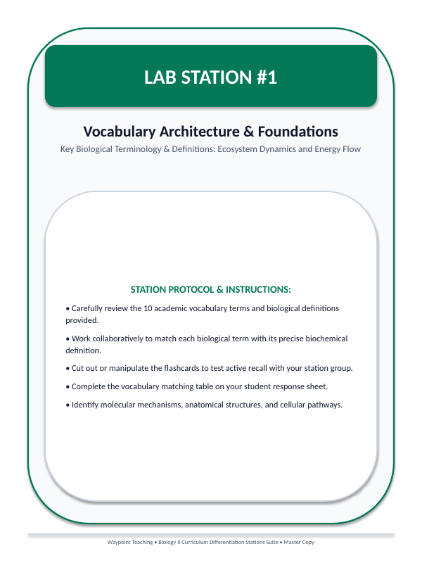 Ecosystem Dynamics & Energy Flow Differentiation Stations sample page