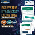 Ecosystem Dynamics & Energy Flow Differentiation Stations cover