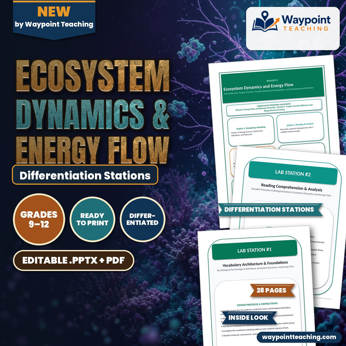 Ecosystem Dynamics & Energy Flow Differentiation Stations cover