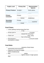 Ecosystem Dynamics & Energy Flow Guided Notes sample page