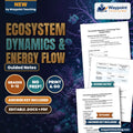 Ecosystem Dynamics & Energy Flow Guided Notes cover