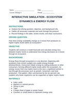 Ecosystem Dynamics & Energy Flow Interactive Simulation sample page