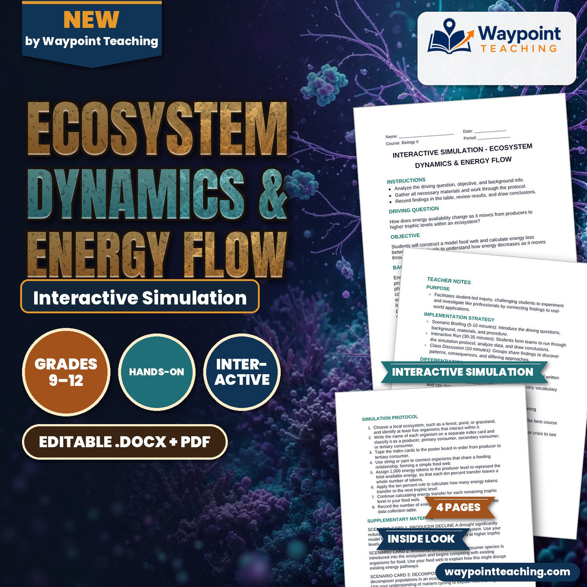 Ecosystem Dynamics & Energy Flow Interactive Simulation cover