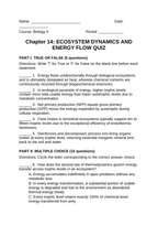Ecosystem Dynamics & Energy Flow Lesson Quiz sample page