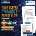 Ecosystem Dynamics & Energy Flow Lesson Quiz cover