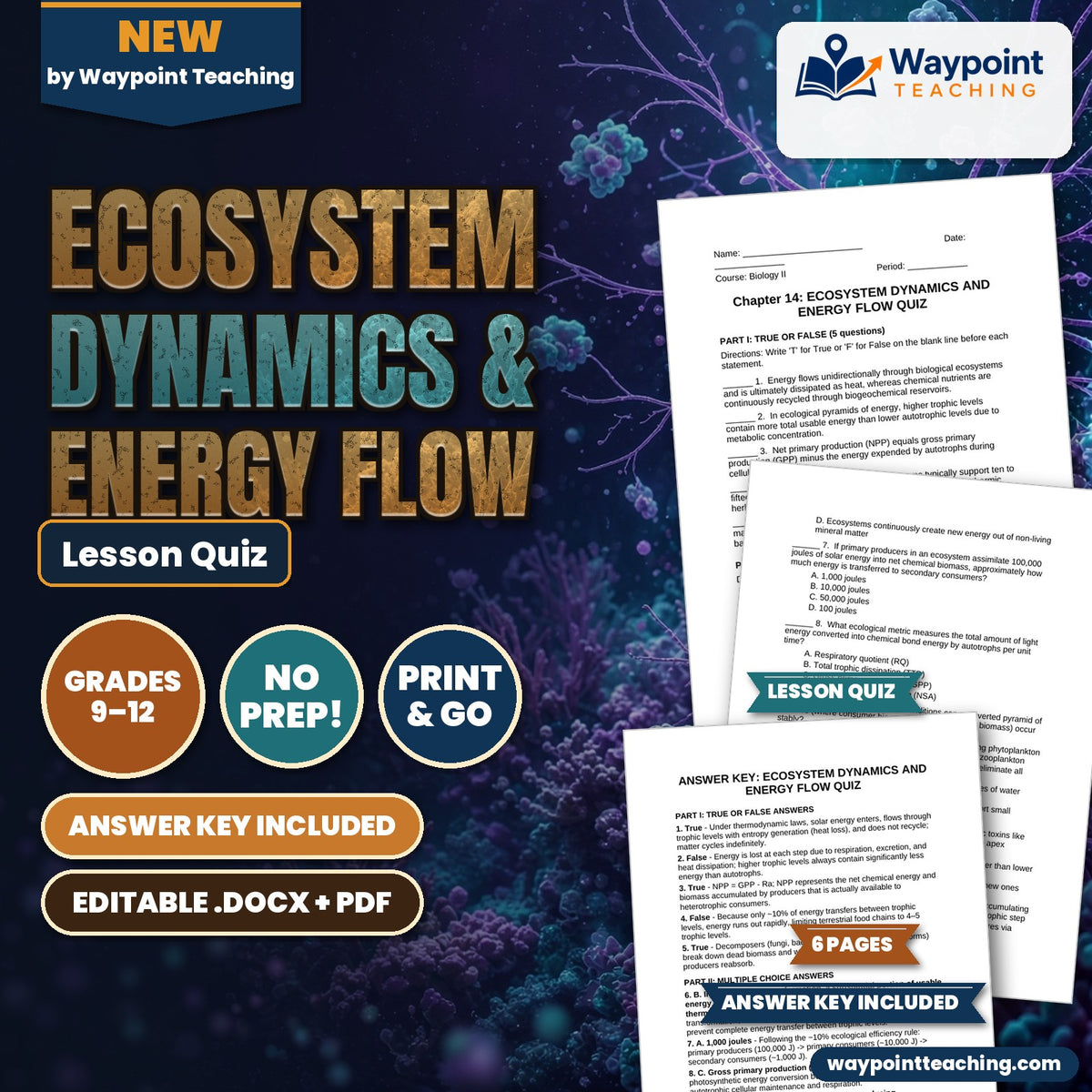 Ecosystem Dynamics & Energy Flow Lesson Quiz cover