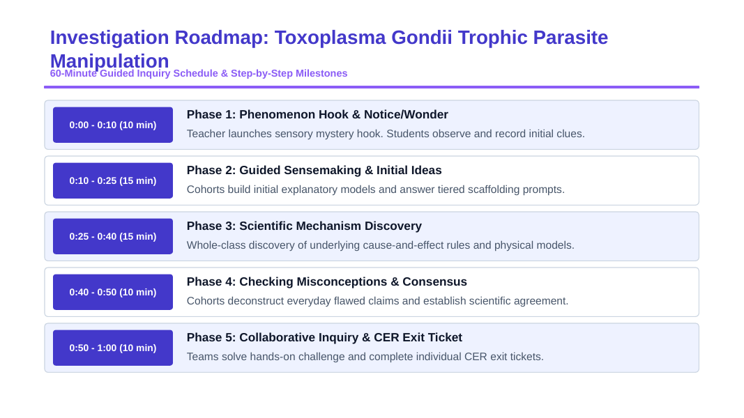 Ecosystem Dynamics & Energy Flow Scaffolded Phenomena-Based Lesson: Fatal Attraction: The Mind-Controlling Parasite That Drives the Food Chain Presentation sample page