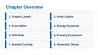 Ecosystem Dynamics & Energy Flow Slide Show Presentation sample page