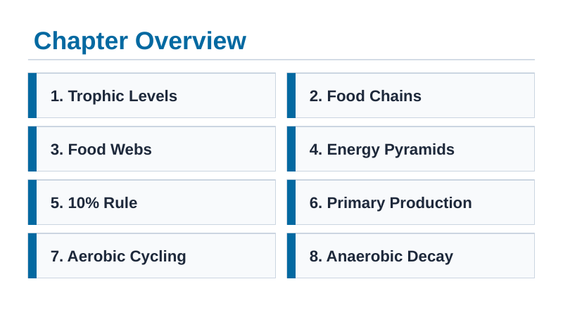 Ecosystem Dynamics & Energy Flow Slide Show Presentation sample page