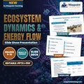 Ecosystem Dynamics & Energy Flow Slide Show Presentation cover