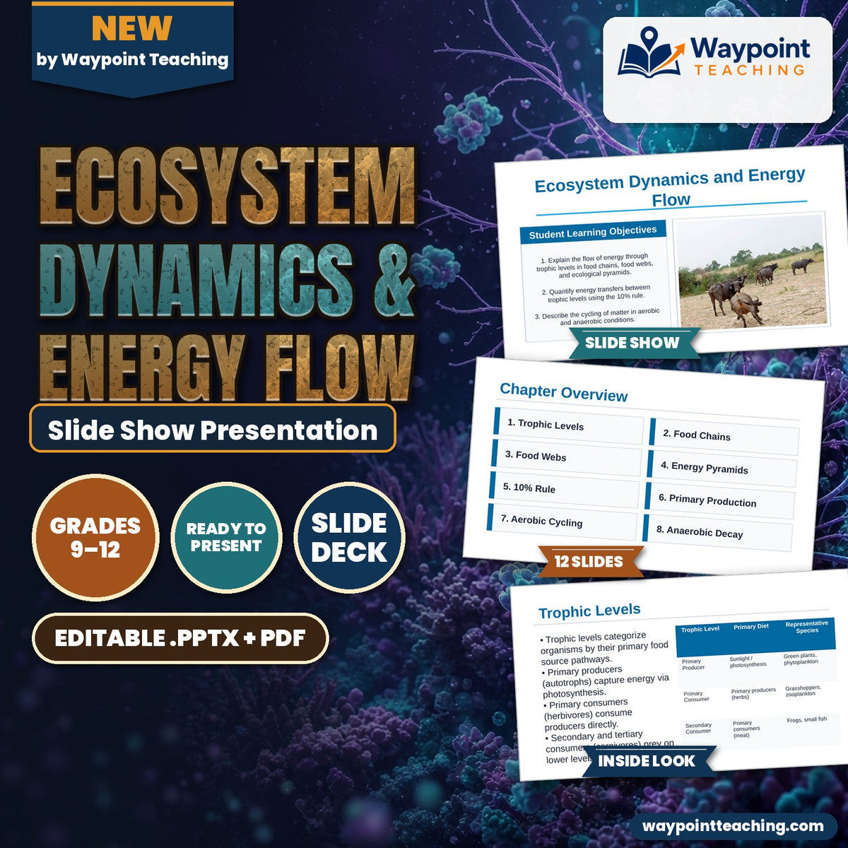 Ecosystem Dynamics & Energy Flow Slide Show Presentation cover